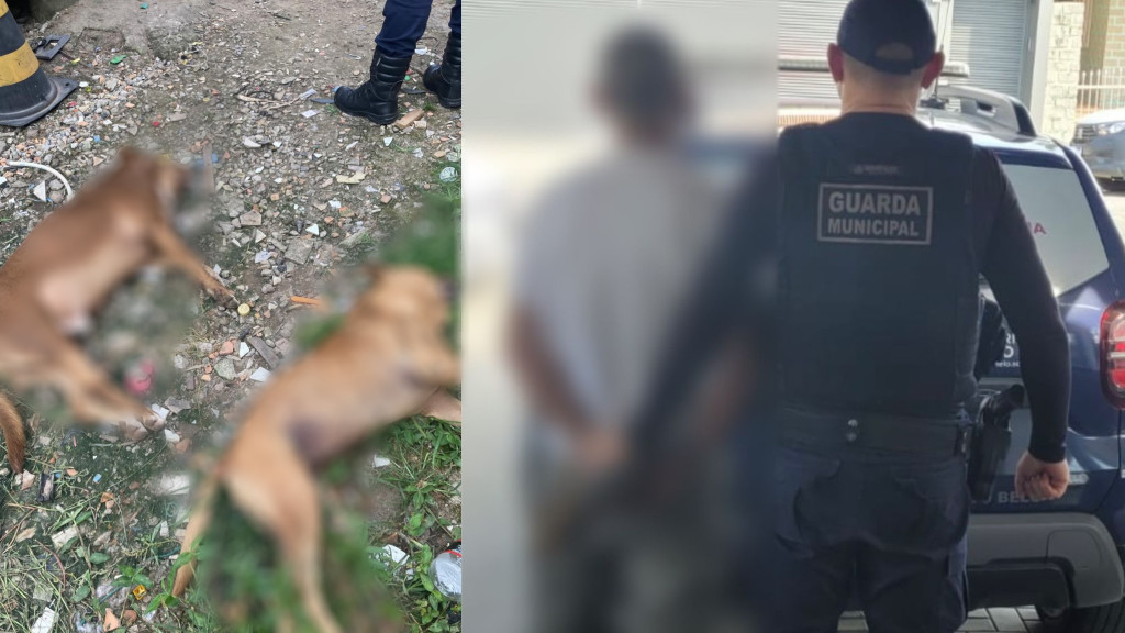 Cães morrem de forma cruel e tutor é preso em Porto Belo