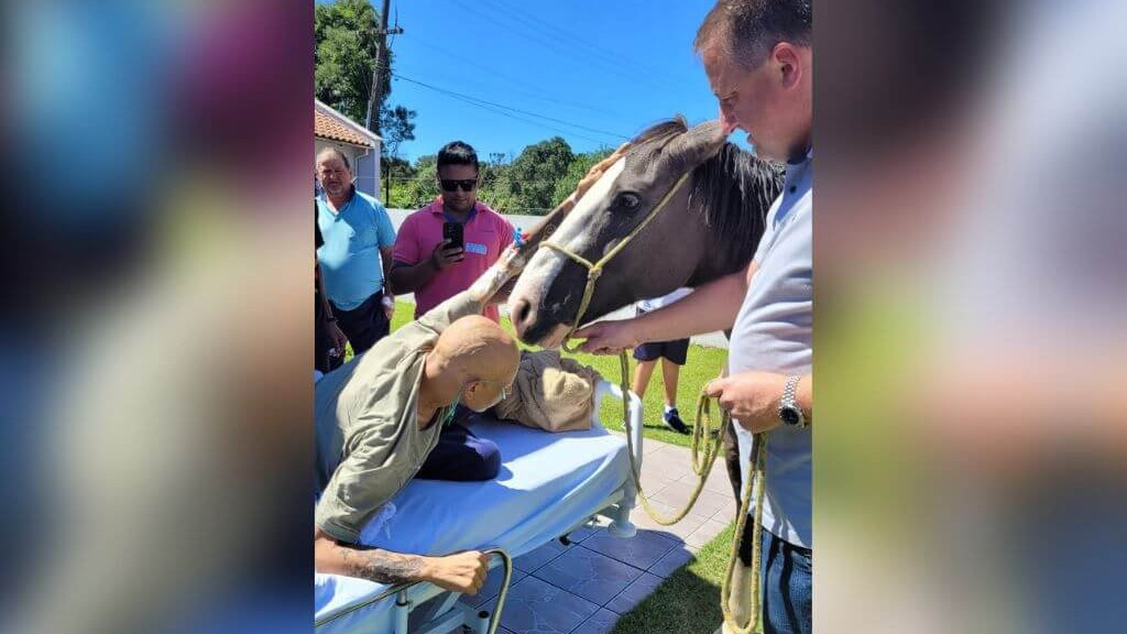 Paciente com câncer realiza sonho de ter cavalo dias antes de falecer em SC