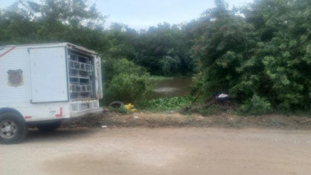Horror em Itajaí: Corpo decapitado é descoberto em pilha de entulho