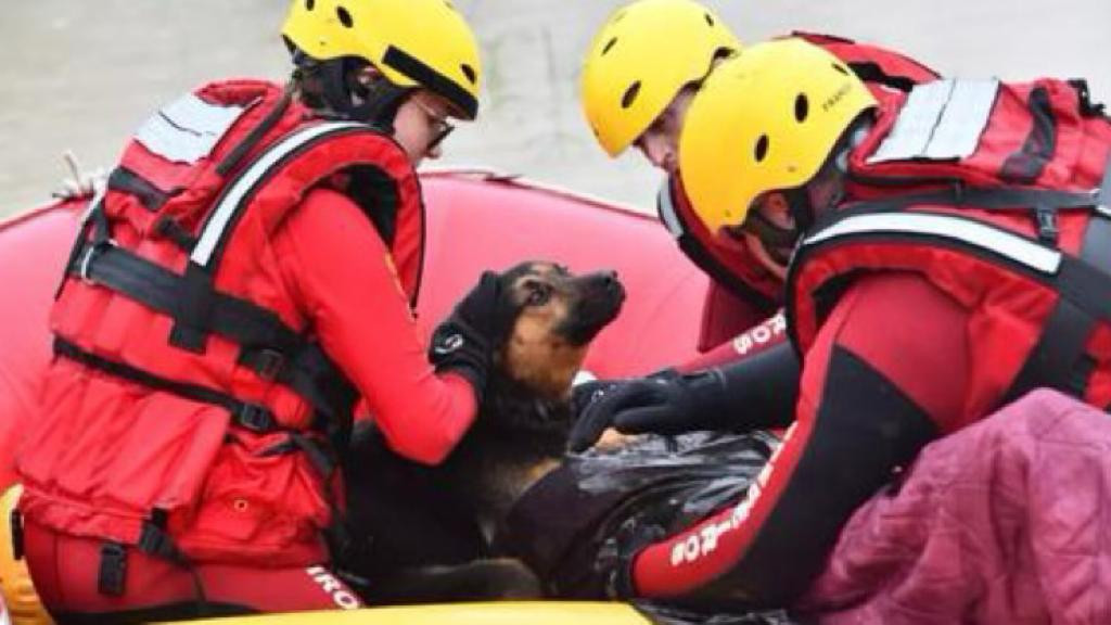 Cão ajuda aquecer seu dono após resgate de bombeiros durante enchente em Rio do Sul