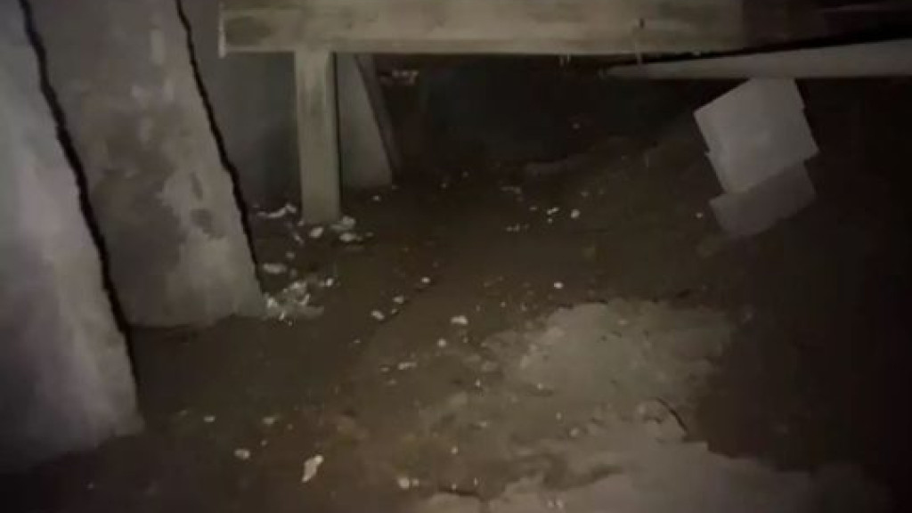 Polícia prende quadrilha que roubava caixas eletrônicos por túneis subterrâneos
