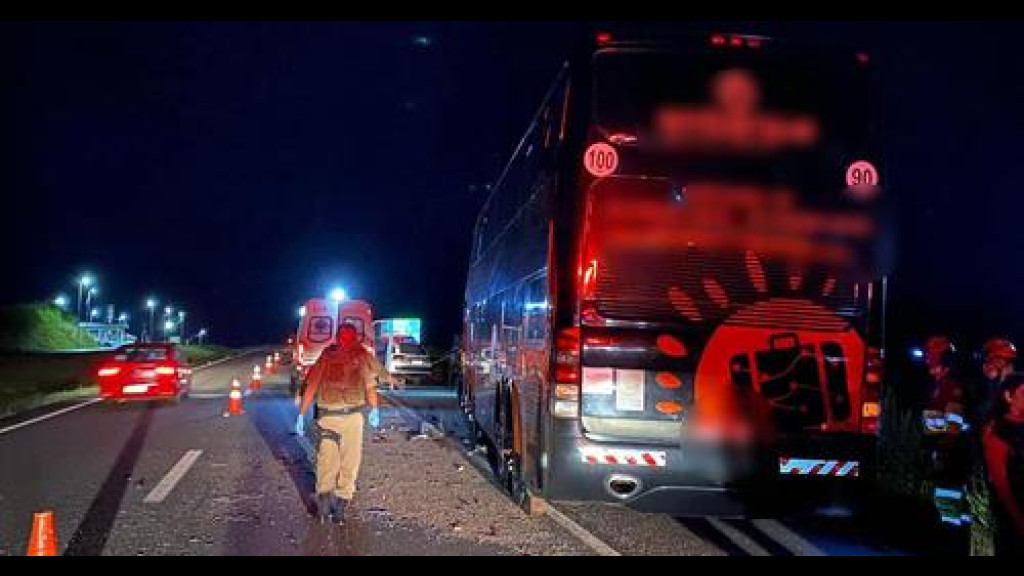 Motorista de ônibus perde a vida em grave acidente com caminhão na BR-101