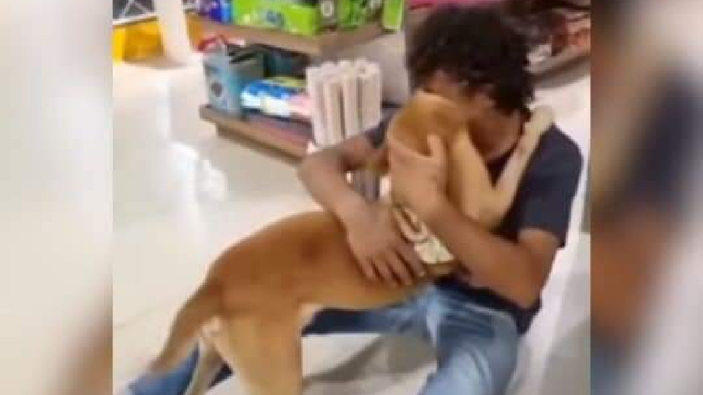 VÍDEO: Morador de rua reencontra cachorro após internação e emociona SC