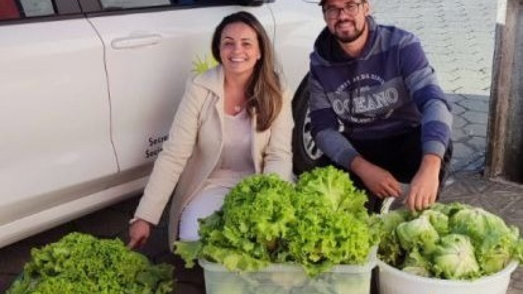 Horta Ecológica de Tijucas doa 76 kg de alface para cestas básicas da Assistência Social da cidade