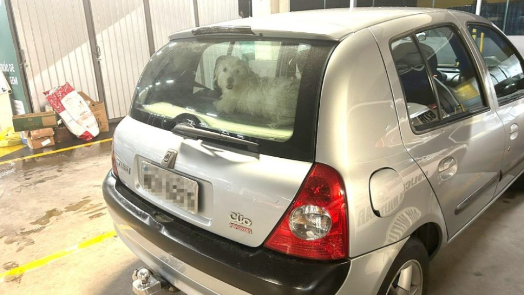 Cachorro fica trancado em carro enquanto donos se divertem