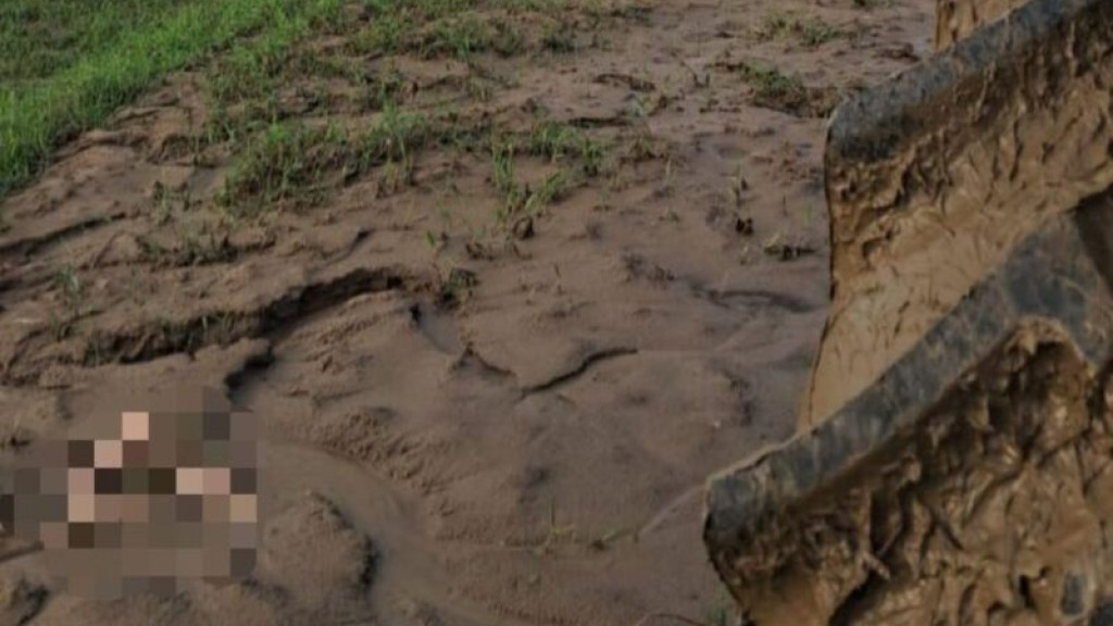 Corpo de homem é encontrado às margens do Rio Itajaí-Mirim em Itajaí