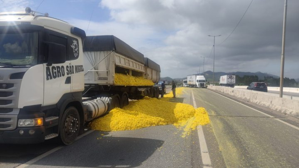 Carga de bagaço de laranja cai de caminhão em Tijucas e causa longas filas na BR-101