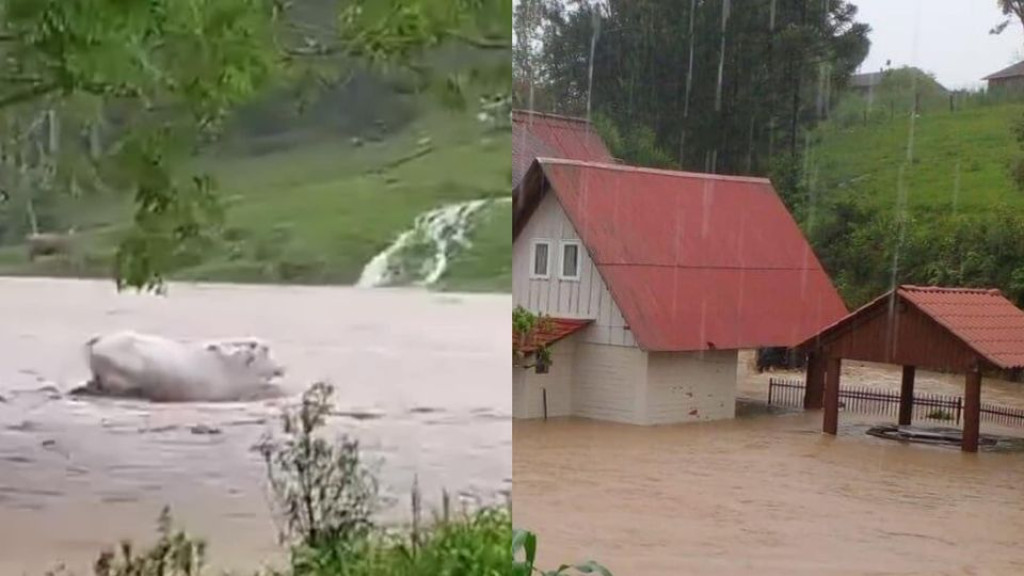 Santa Catarina sob águas: Chuvas intensas causam alagamentos e destruição neste Sábado