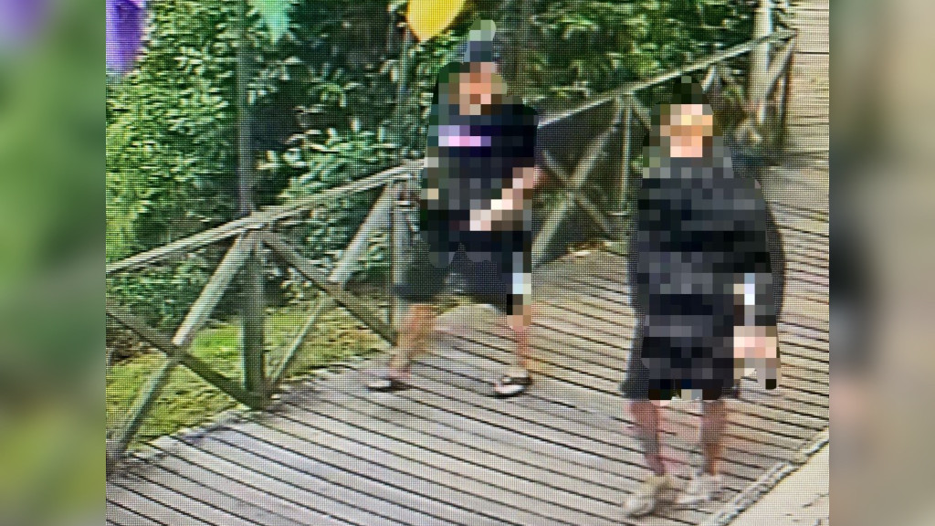 Homem é assaltado, agredido e amarrado com cadarços durante caminhada em BC