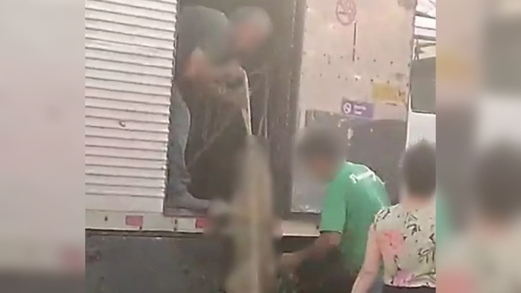 Cachorros são colocados em caminhão, somem e população se revolta: “absurdo!”