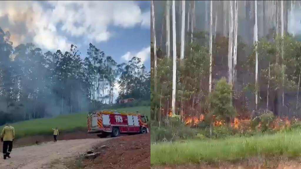 Bombeiros combatem incêndio de grandes proporções no interior de Tijucas