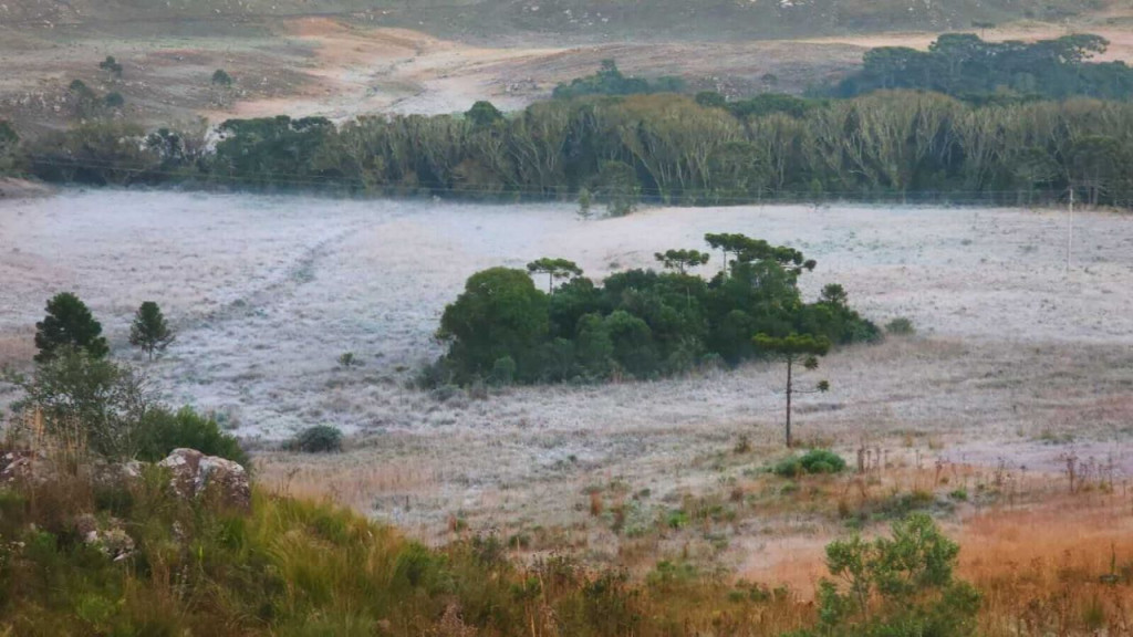 Geada cobre paisagem na Serra catarinense e temperaturas negativas são registradas nesta quarta (10)