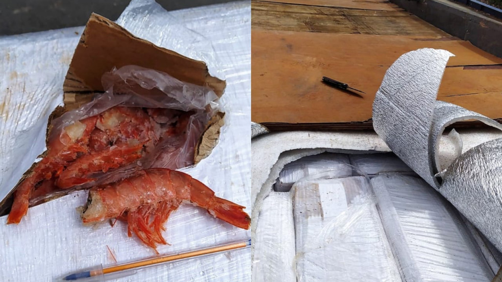 Homem é preso com mais de 4 toneladas de camarão contrabandeado na BR-280