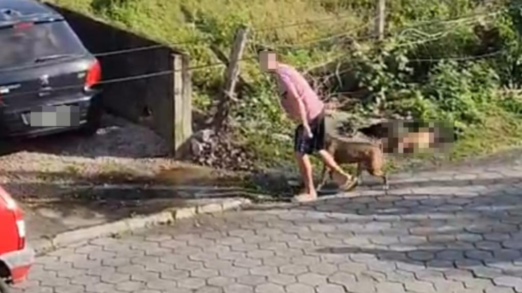 VÍDEO: Moradores se revoltam com tutores de pitbull que matou cadela, em Bombinhas