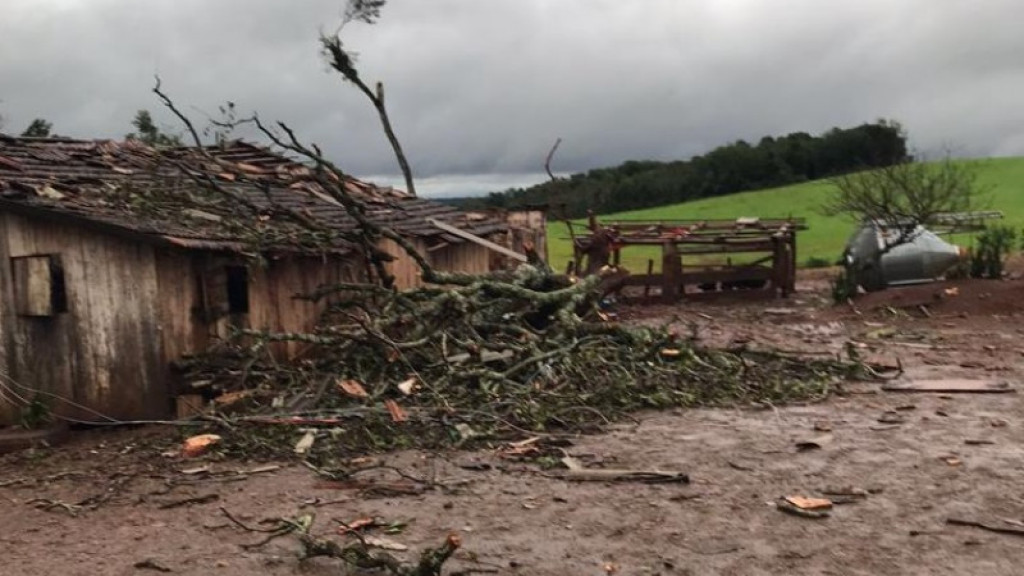 Idoso morre após queda de árvore durante ciclone no Rio Grande do Sul