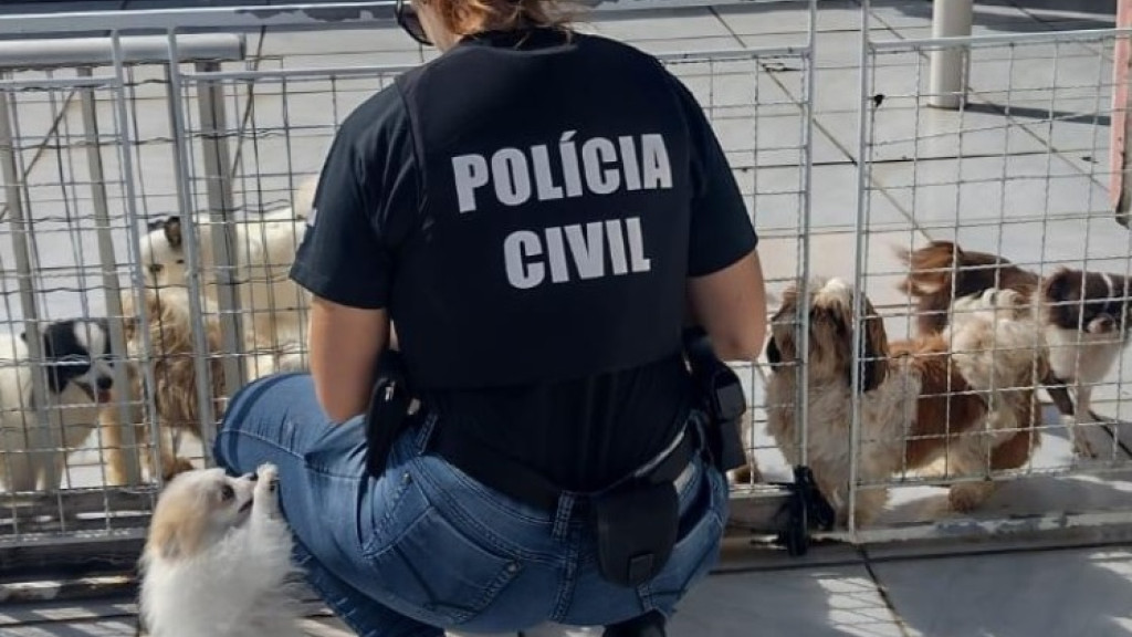 Canil clandestino é fechado em operação policial e 27 cães de raça são resgatados
