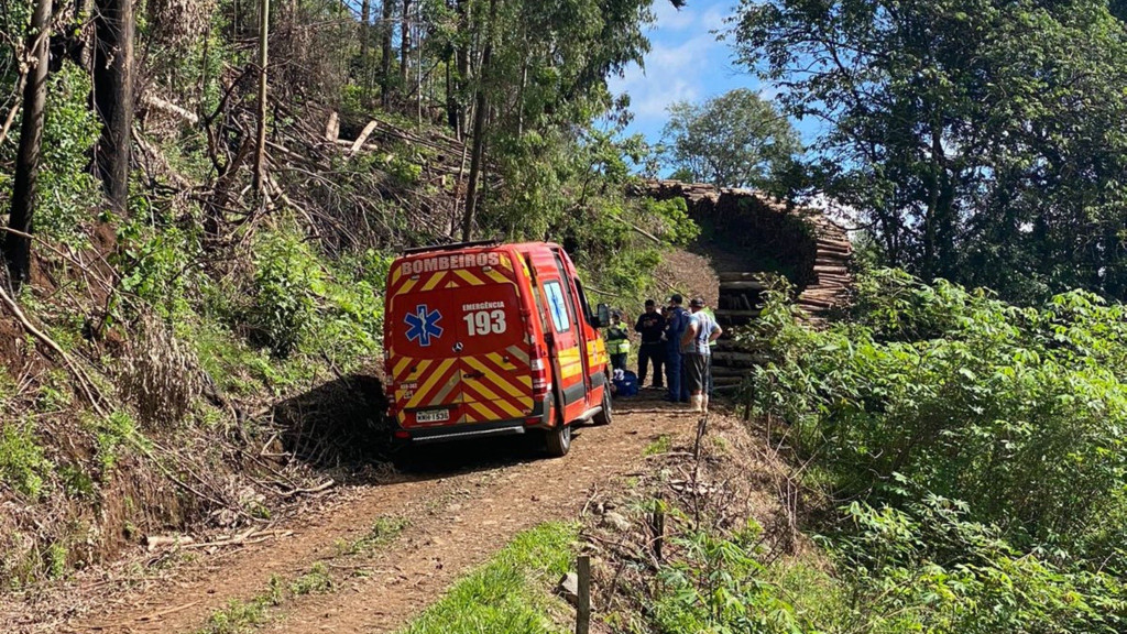 Tragédia: trabalhador de 26 anos morre esmagado por árvore em corte florestal