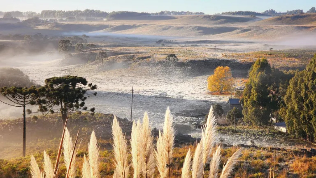 Santa Catarina enfrenta manhã de domingo gelada com temperaturas abaixo de zero