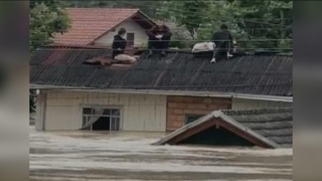 Família sobe em telhado de residência para evitar tragédia durante enchente