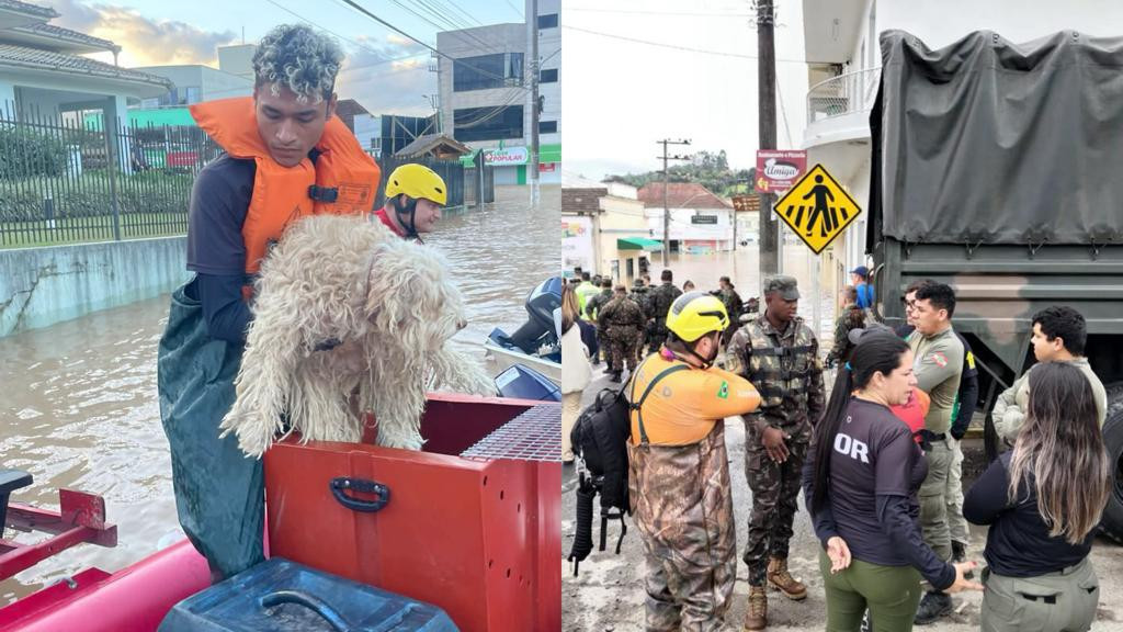 Equipe do GOR resgata animais de residências alagadas pela enchente em Taió