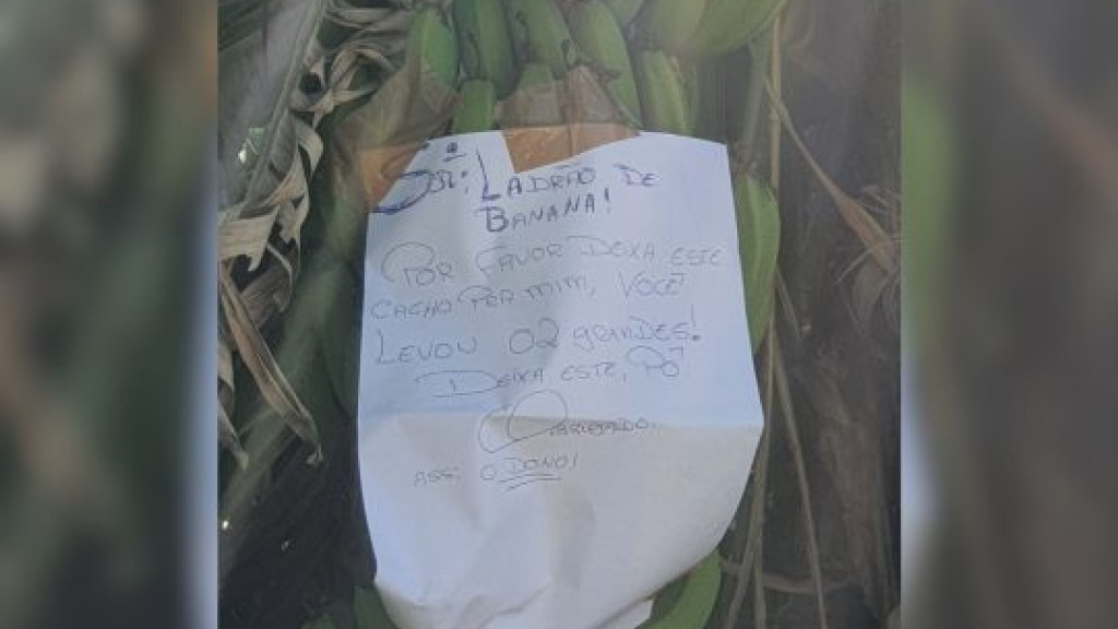 Morador deixa bilhete inusitado para ladrão de bananas em Itapema