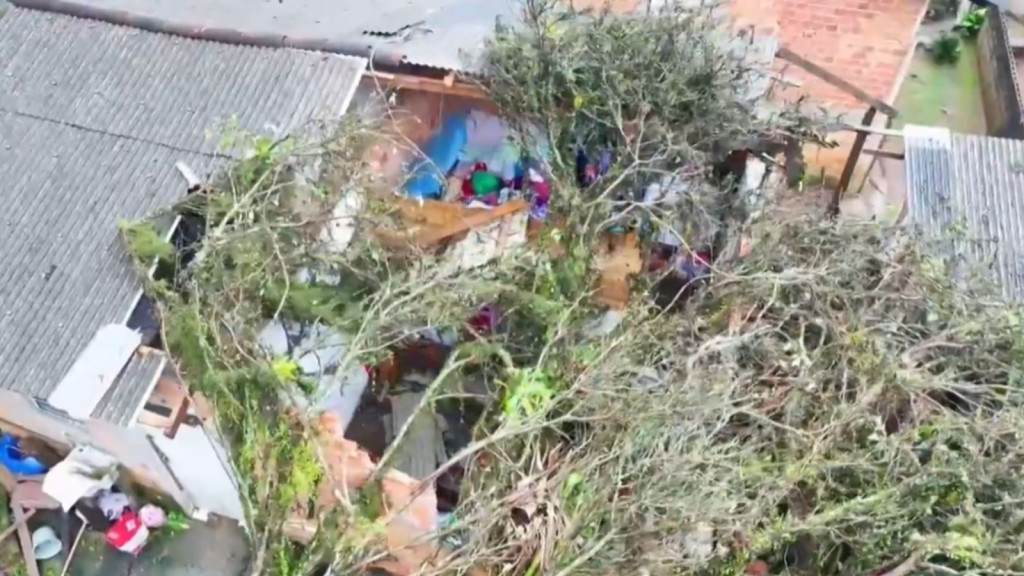 Chuva forte derruba árvore sobre casas e causa destruição em Florianópolis