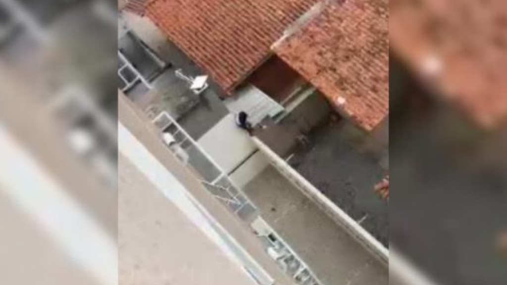 Homem é preso após invasão a residências com crianças e idoso em tratamento de câncer, em Porto Belo