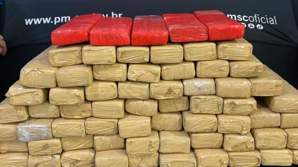 Quadrilha suspeita de distribuir maconha em BC é detida com 52 kg de maconha