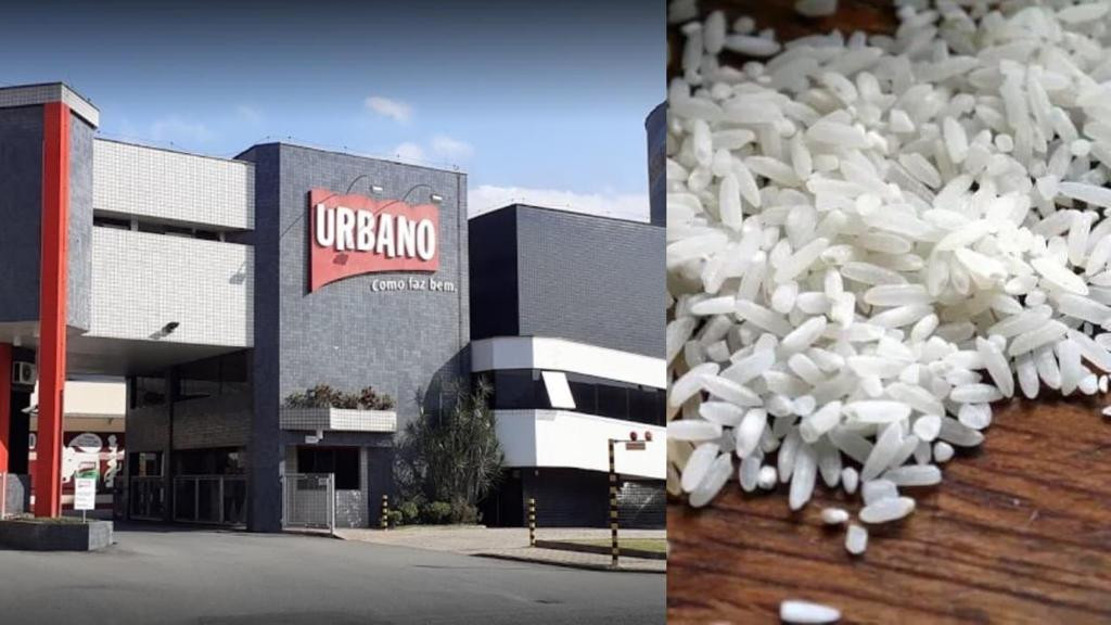 Empresa catarinense doa 24 toneladas de arroz a famílias da Ucrânia afetadas pela guerra