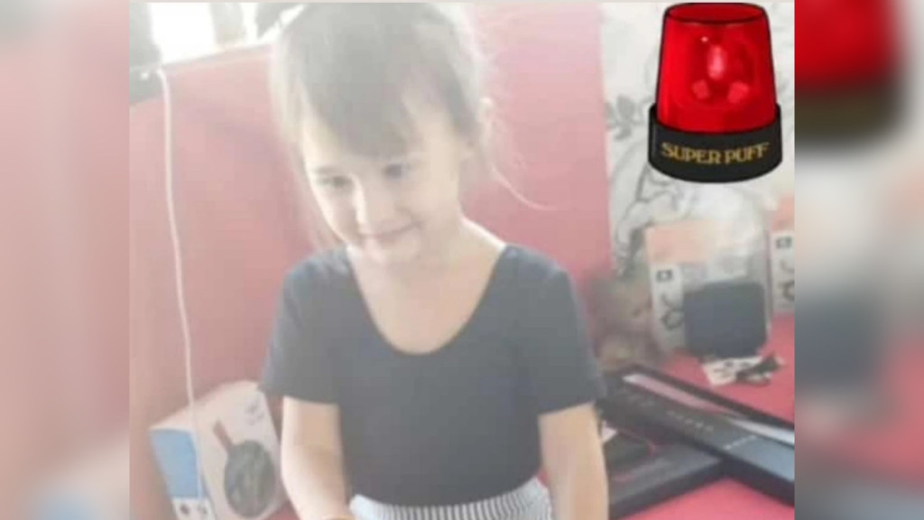 Desaparecimento em Indaial: menina de 3 anos some de casa