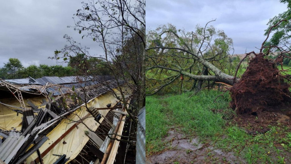 Tempestade assustadora deixa rastro de destruição no Oeste de Santa Catarina