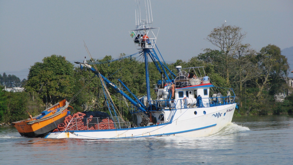 Pesca da tainha é proibida para frota industrial em 2023