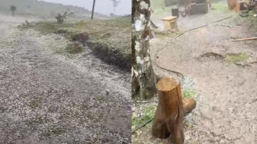 Chuva de granizo deixa branquinha a Serra catarinense