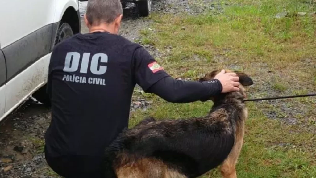 Homem é preso por maus tratos a cães em Santa Catarina