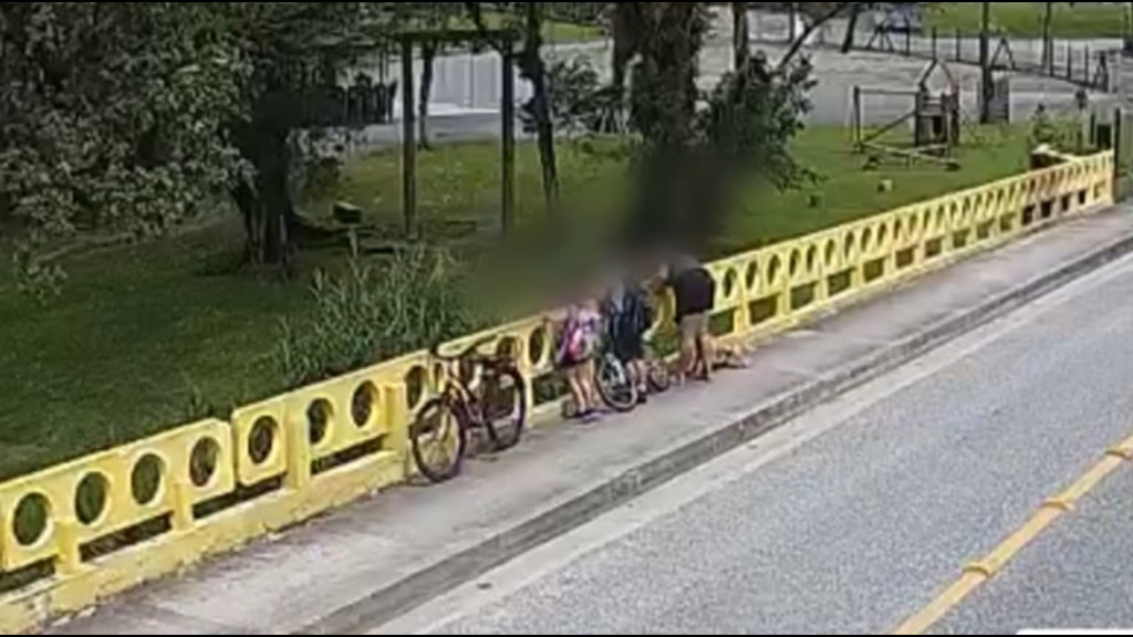 VÍDEO: Mulher atira cachorro de ponte em frente aos filhos