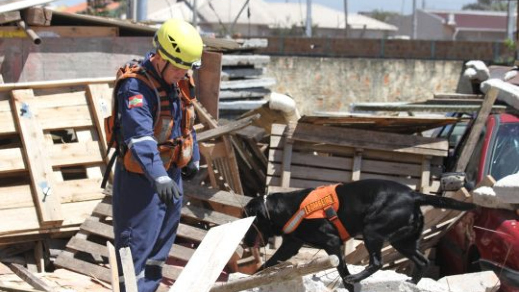 Cães de Resgate de diferentes estados brasileiros reúnem-se para certificação em Tijucas