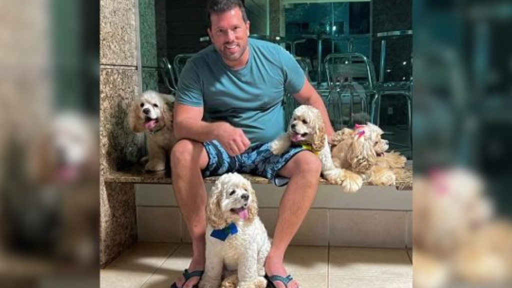 Vizinho incomodado com barulho esfaqueia 3 cachorros em Florianópolis