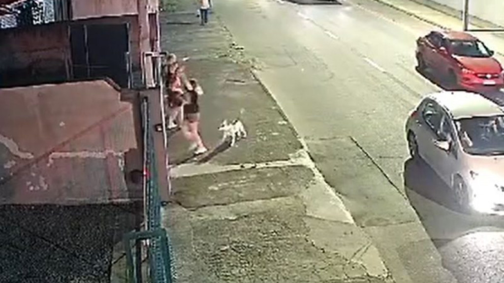 VÍDEO: Pitbull pula janela de carro e avança em direção a jovens com cachorrinha em SC