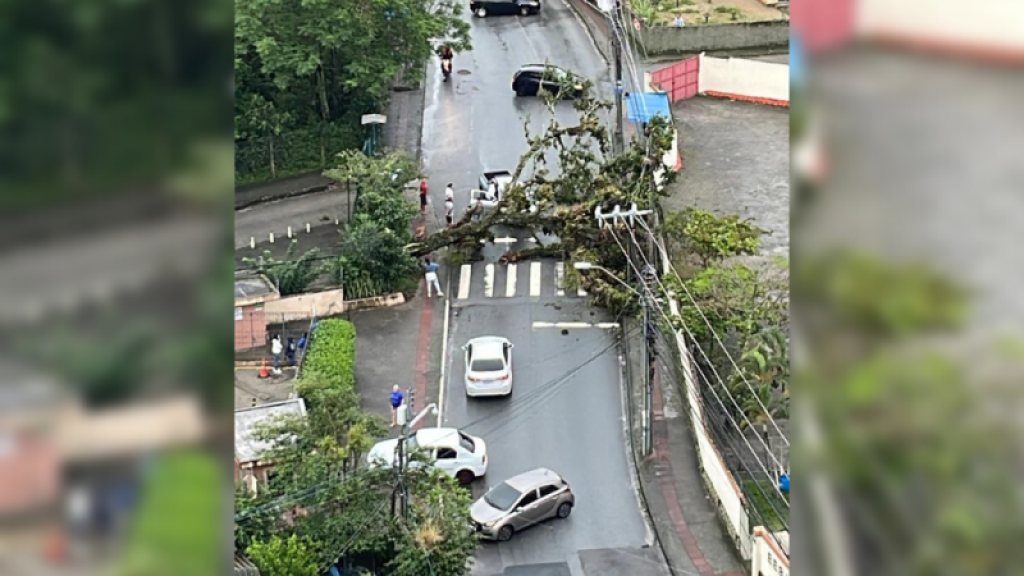 Árvore cai sobre carro e deixa motorista ferido em Florianópolis