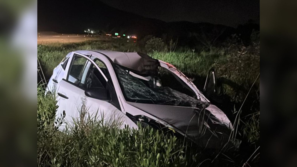 Cavalo invade a BR-470 e morre atropelado por veículo