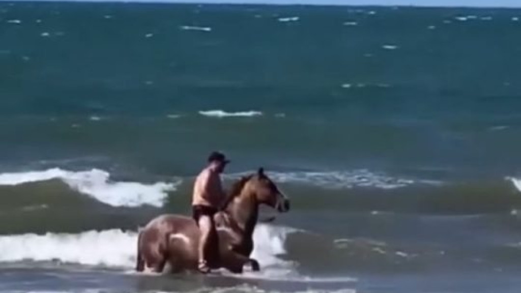 Homem é flagrado com cavalo em praia de Porto Belo