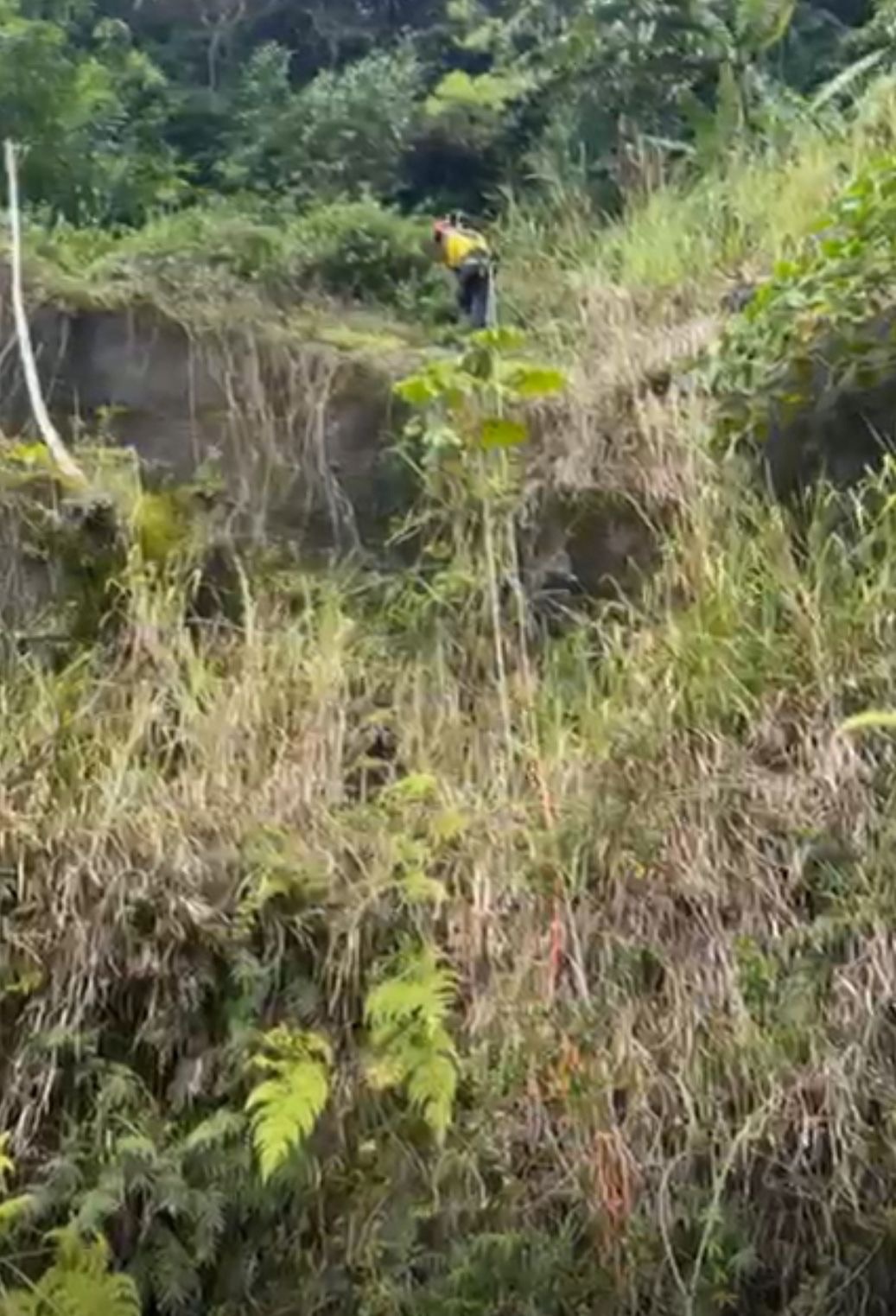 Foto 4 de 5