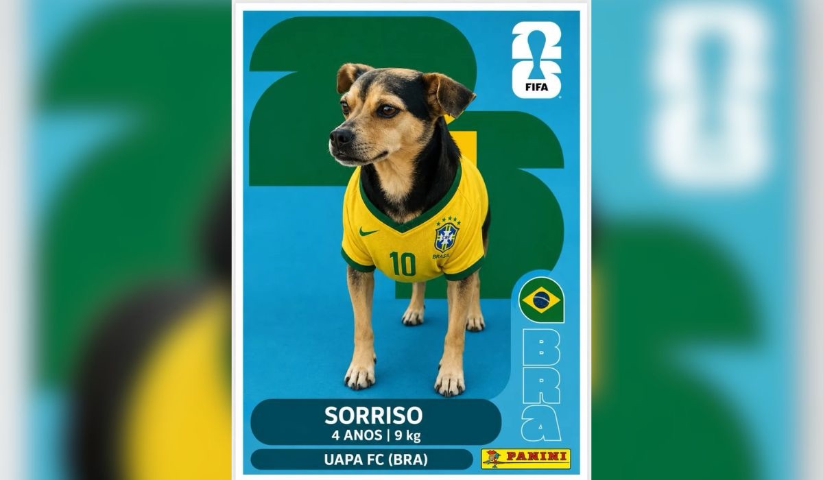 Foto 5 de 12