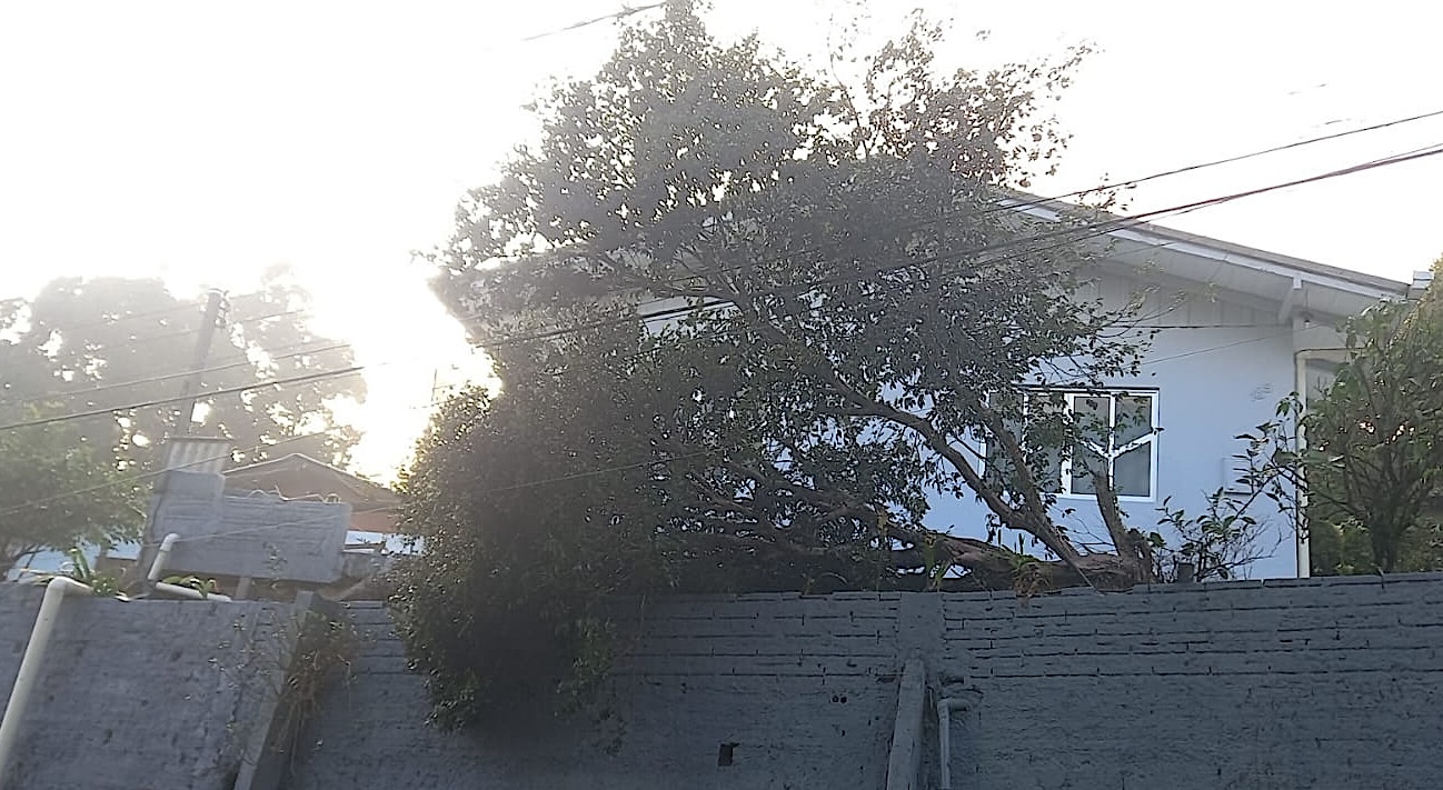 Madrugada de susto: temporal com ventos fortes e granizo