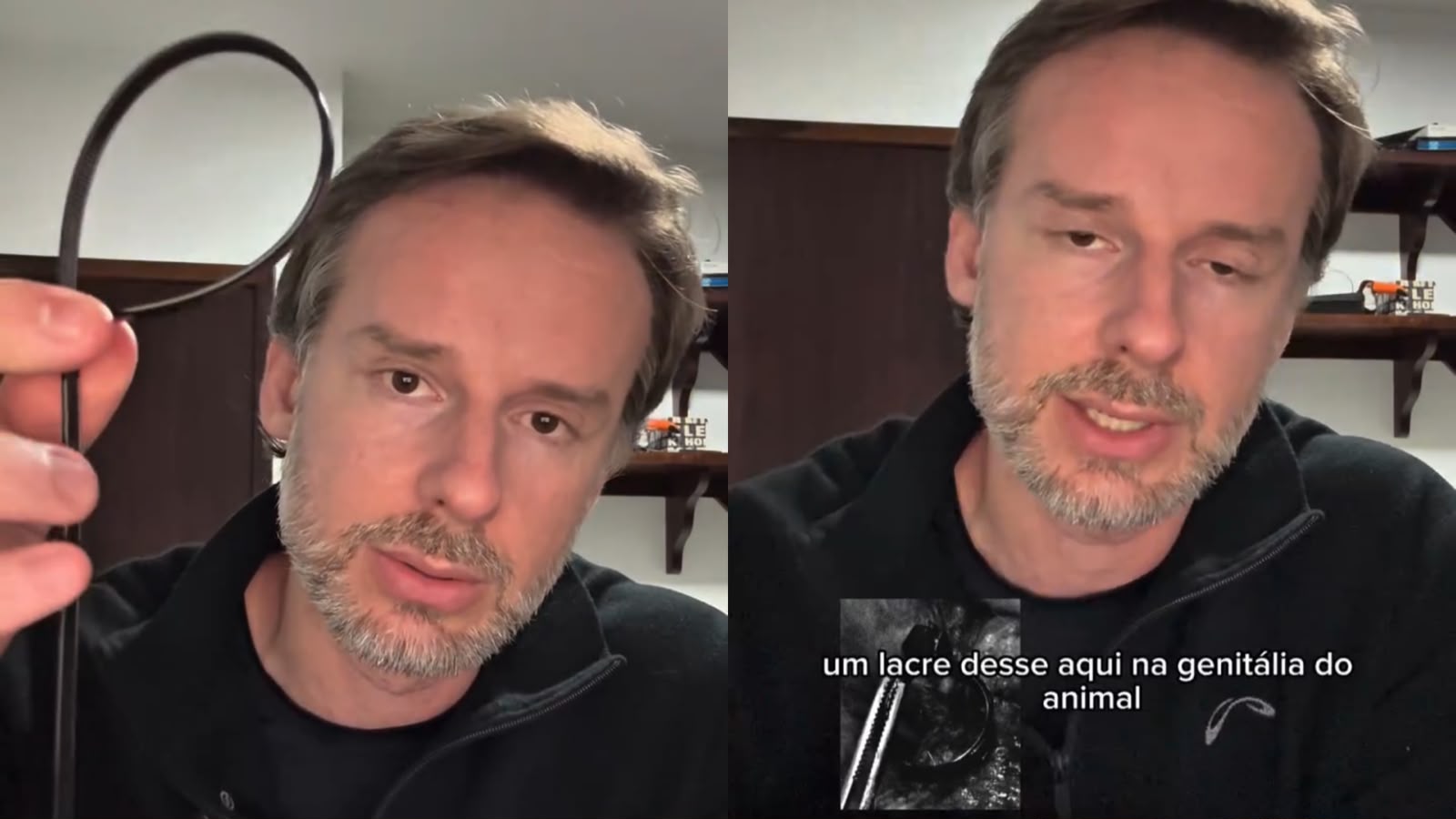 Cão comunitário vítima de maus-tratos mobilizou SC