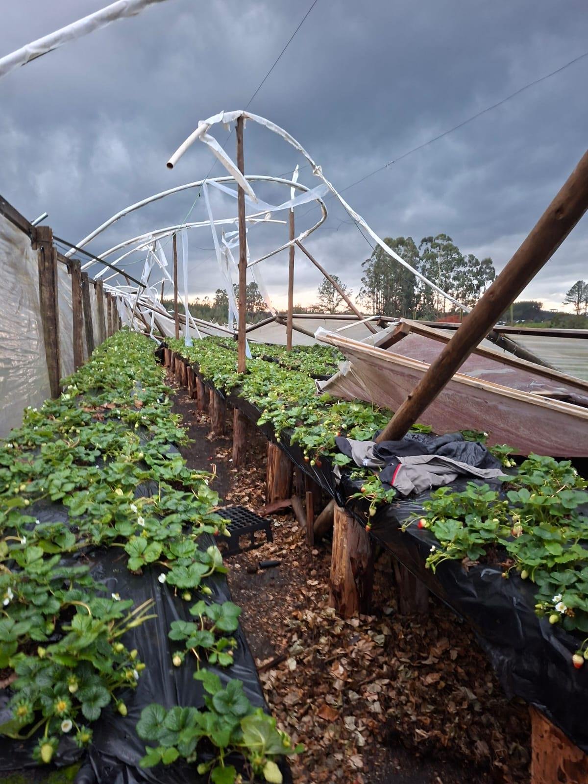 Após alertas vermelhos, tempestade deixou rastro de destruição em SC