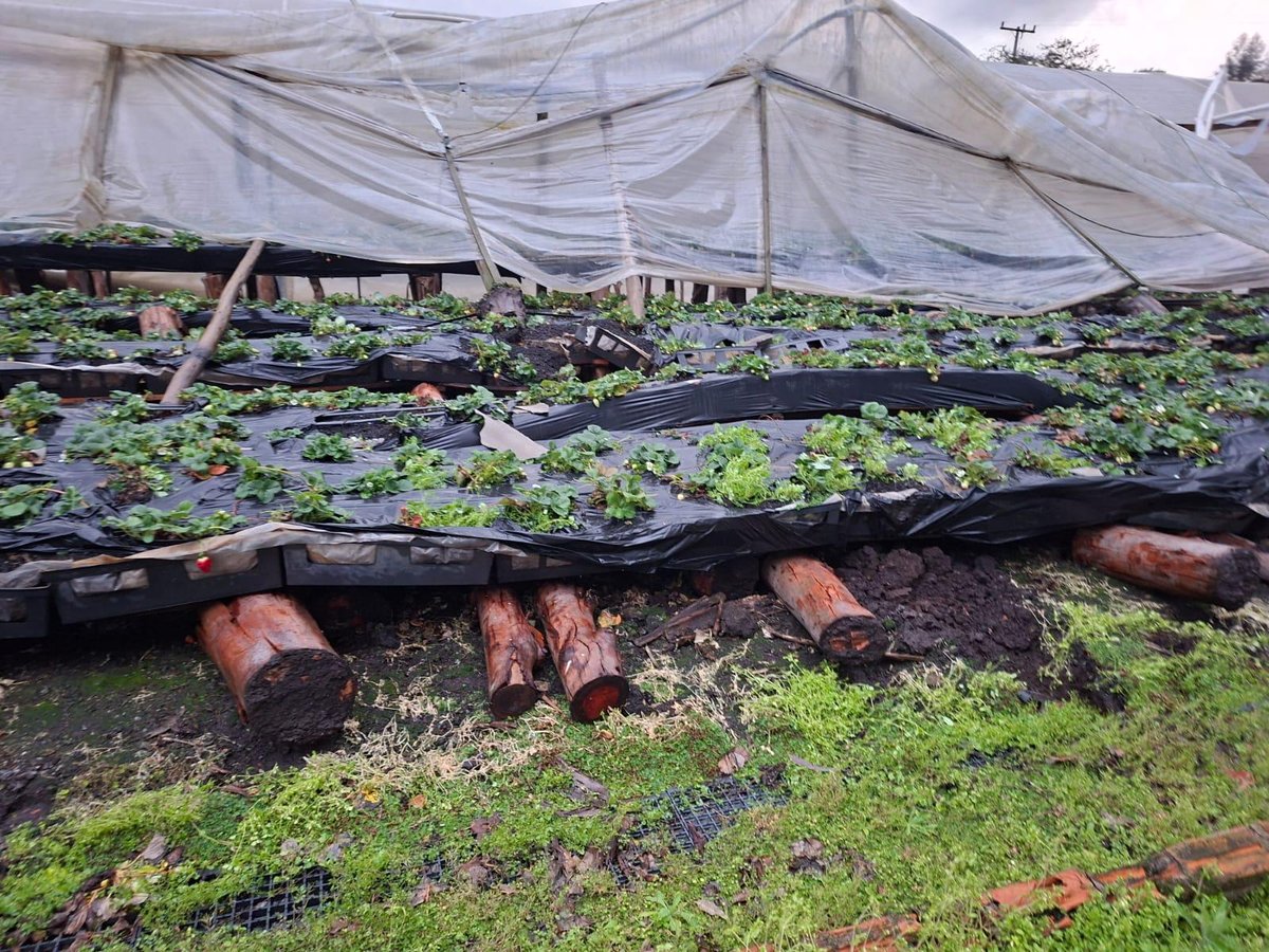 Após alertas vermelhos, tempestade deixou rastro de destruição em SC