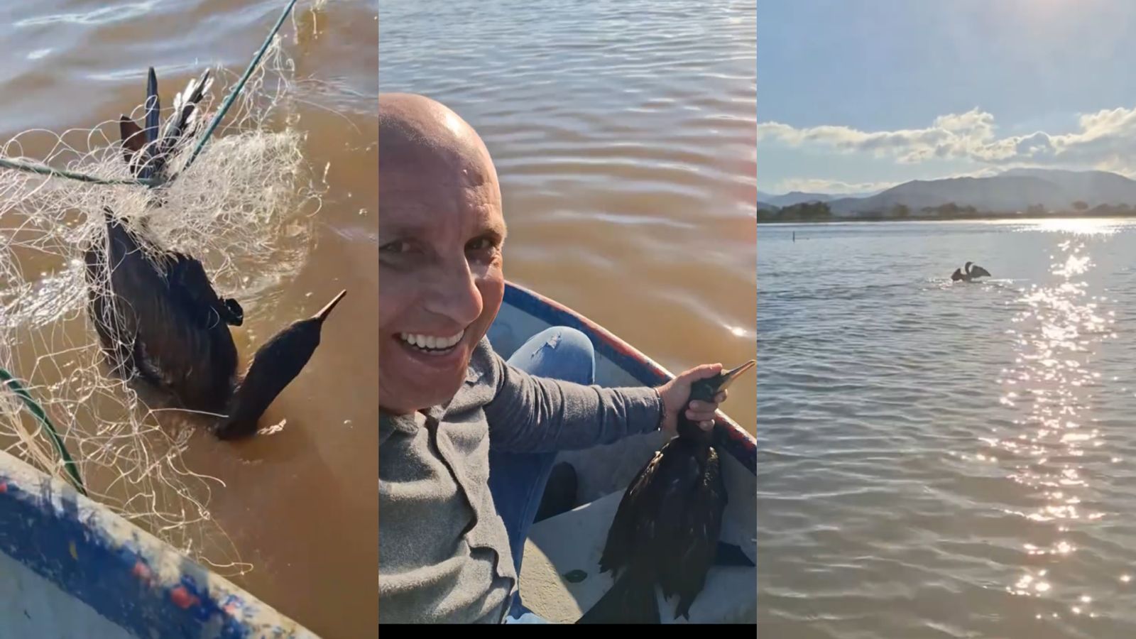 Presa na rede e sem forças, ave foi salva por fotógrafo