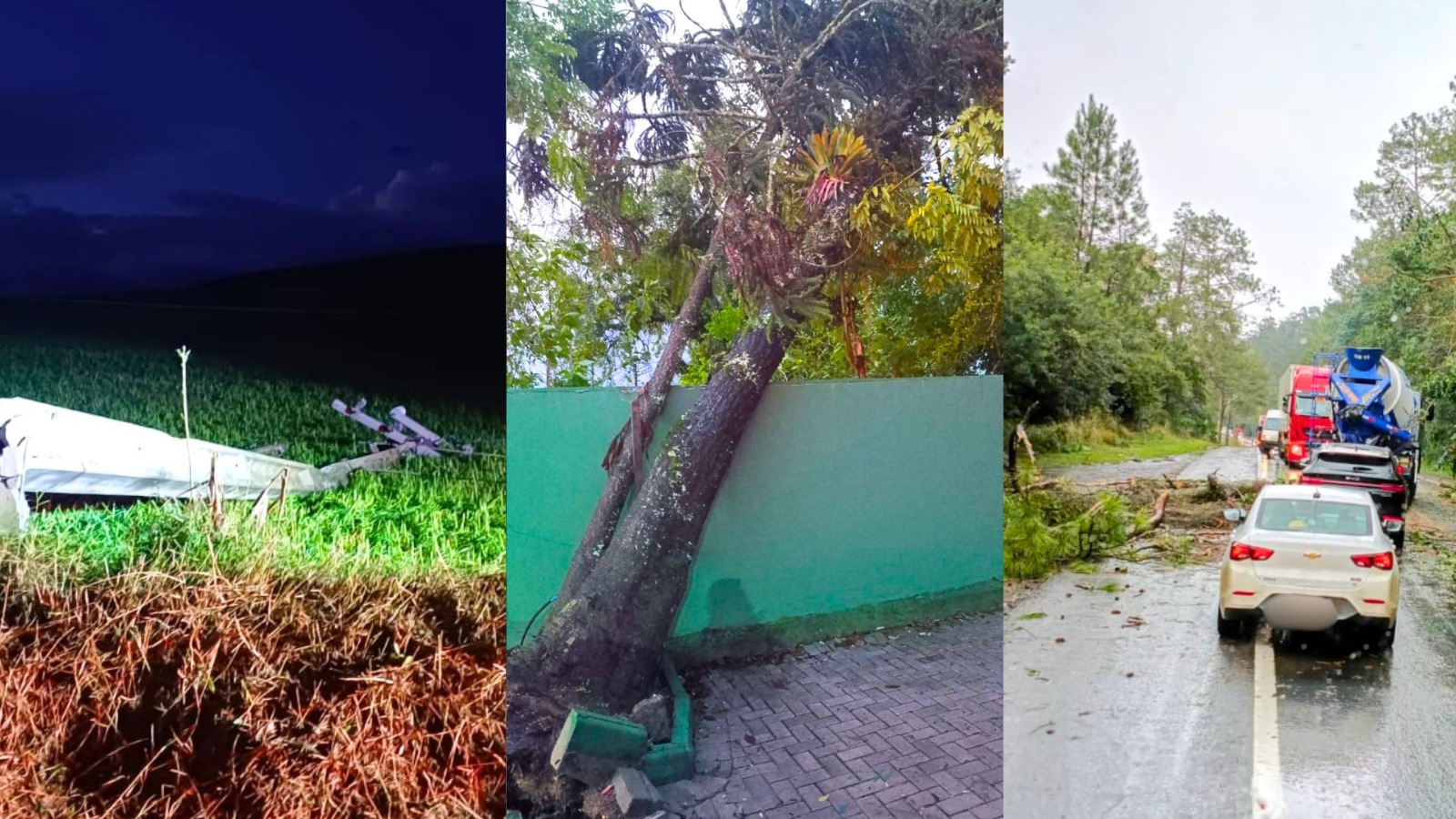 Temporal deixou rastro de destruição no Alto Vale: árvores atingiram casas e famílias ficaram desalojadas