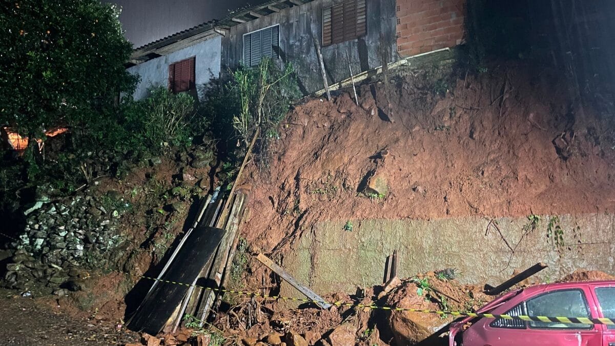 Corpo de Bombeiros Militar removeu árvore que caiu sobre via durante o temporal (Foto: CBMSC, Divulgação)